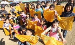 직접 염색했어요
