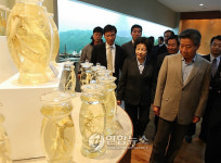 금산 인삼전시관 찾은 노 전 대통령