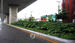 부산진구 `도심 흉물 고가도로 밑에 화단조성