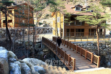 삼척 검봉산 자연휴양림 개장