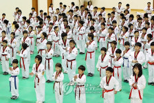 정선군 태권도 대회