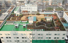 구청 옥상이 자연이 숨쉬는 공원으로
