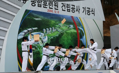 국가대표 태권도 시범단 축하공연