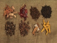 메디TV 스파이스 로드-맛과 향의 비밀