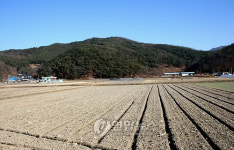 고령서 청동기시대 암각화 새로 발견