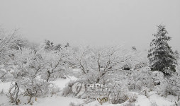농진청 추천 설경이 아름다운 농촌마을