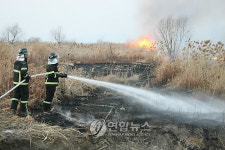 부산 삼락강변공원 갈대숲 화재