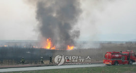 부산 삼락강변공원 갈대숲 화재