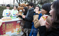 소의 해, 우유먹고 건강한 2009 맞이하세요
