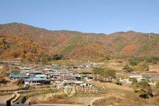 생태우수 마을로 선정된 예천 사곡리