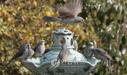 역시 청자 물맛이 최고야