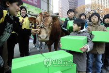 사랑의 한우를 보냅니다