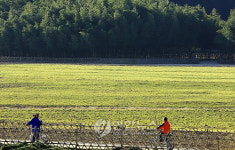 울산 태화들 겨울속의 봄