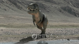 MBC TV 다큐멘터리 MBC스페셜-공룡의 땅