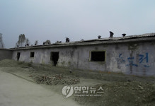 제주흑돼지농장 조성될 평양돼지공장 내부