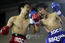 권투 신인왕을 향해