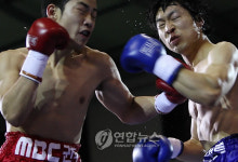 권투 신인왕전 두 눈 질끈 감고