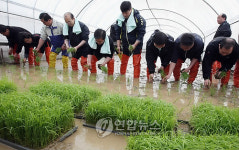 기축년 풍년을 기원하며