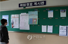 취업 정보는 어디에
