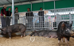 고성군 이젠 가축도 무공해로 키워요