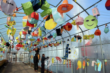 비닐하우스에 등(燈)이 주렁주렁