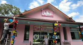 코스모스 테마 가득한 하동 북천역