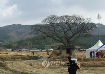 울산 북구 화산마을서 마지막 당산제