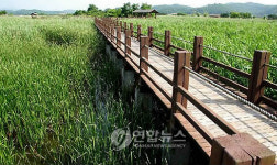 단양 가대천에 들어설 습지생태공원