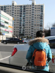강남의 교육열