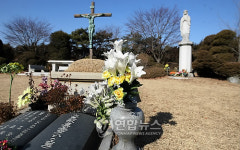 故 김 추기경 모실 용인 천주교성직자 묘역
