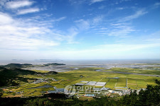 <카메라뉴스> `소금산의 푸른 보리밭