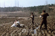 제암리학살 독립영화 