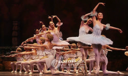 유니버설발레단의 돈키호테