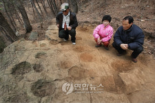 함안서 무더기로 발견된 공룡발자국
