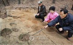 함안서 공룡발자국 무더기 발견