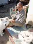김정일 선물한 풍산개의 후손들