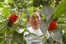 파프리카야 뭐가 필요하니