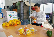 유기농 파프리카 포장