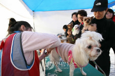 울산 남구 베스트 행정서비스 인기 짱
