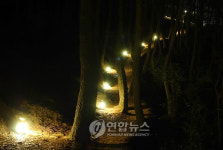 야간에 해운대 문탠로드 걸어요