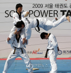 외국인도 다시찾는 태권도 문화공연