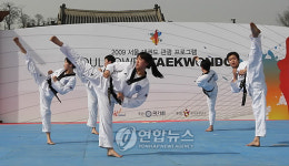 외국인도 다시찾는 태권도 문화공연