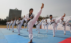 외국인도 다시찾는 태권도 문화공연