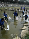 수원 원천천을 깨끗하게