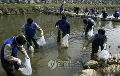 수원 원천천을 깨끗하게