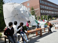 봄바람이 메가톤급