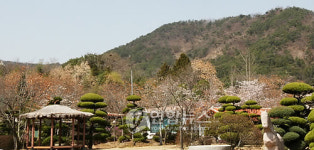 박연차 회장의 금호가든