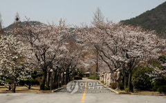박연차 회장의 금호가든