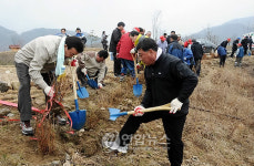 양구 한반도섬에 나무심기 행사