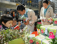 대한항공, 새봄맞이 야생화 알리기 행사